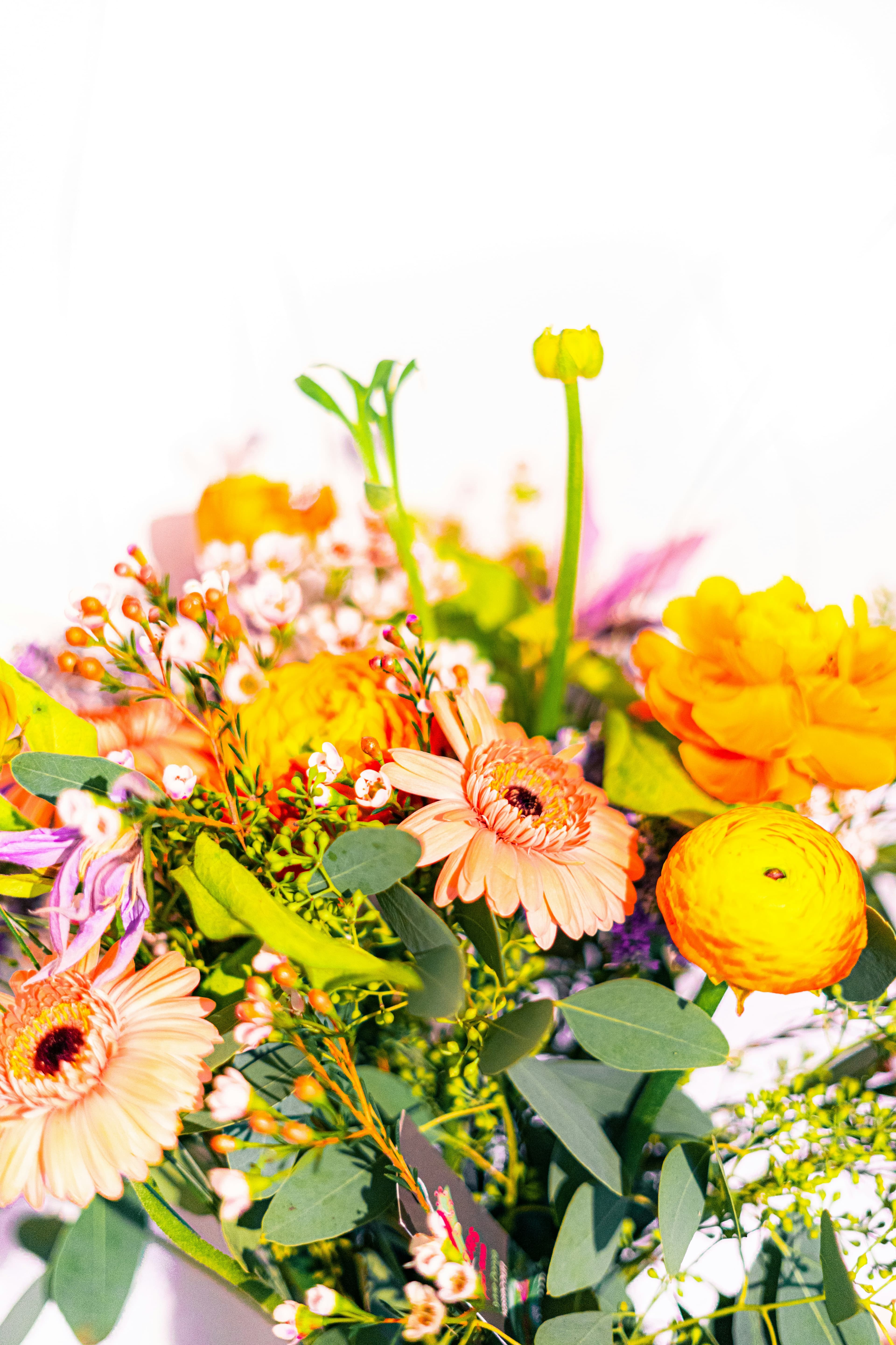 Fresh floral arrangement in natural light