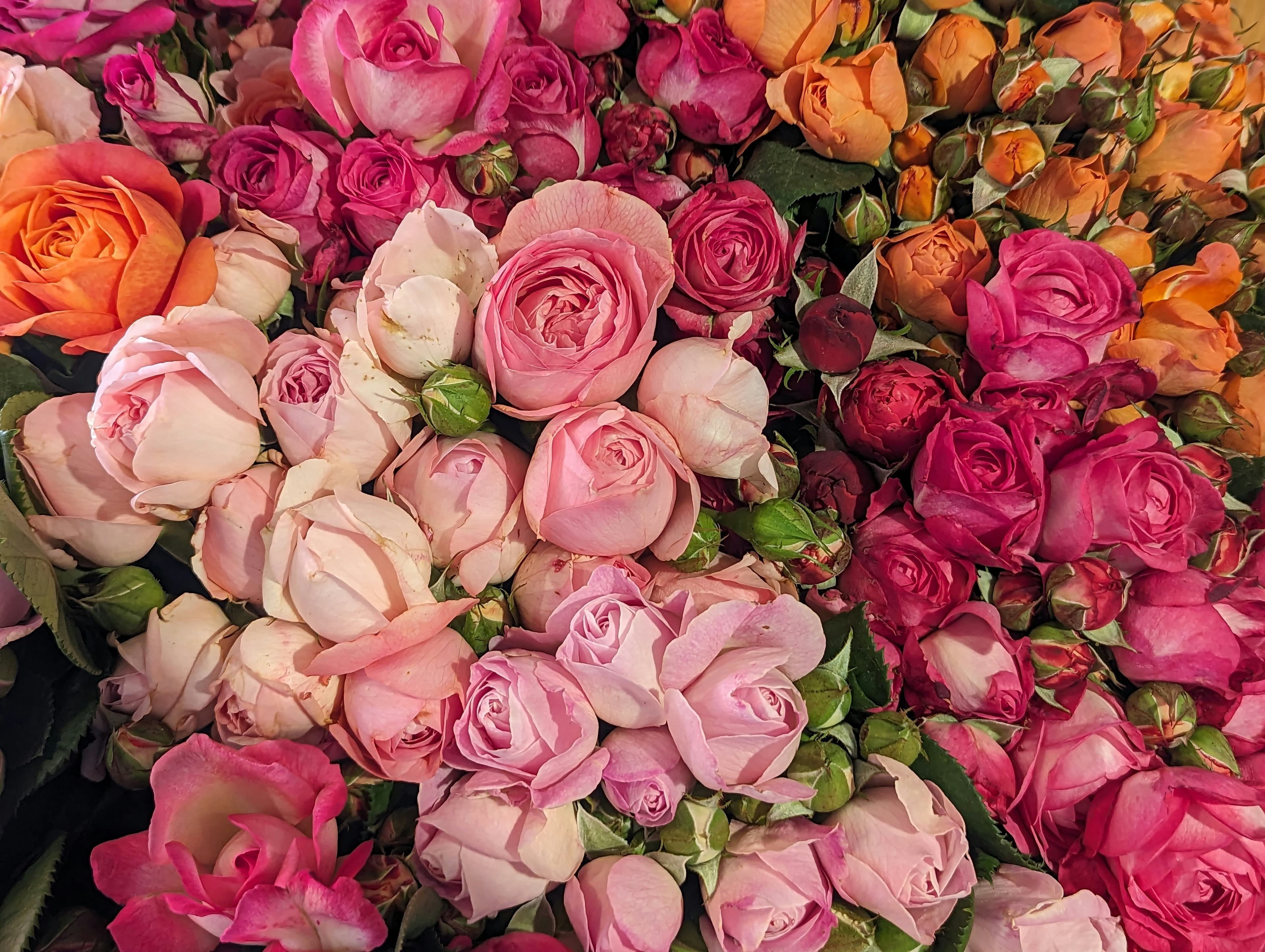 Cabin flowers for private jets at Sofia Airport